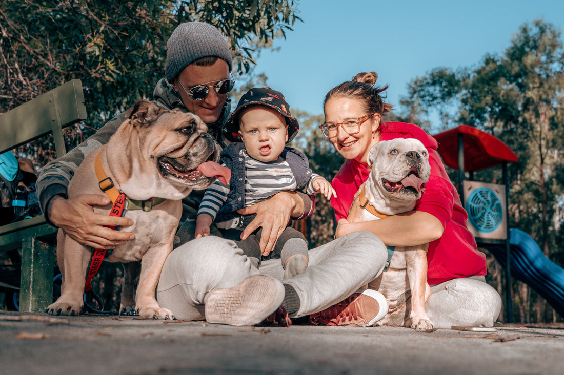 FAMILY BUSINESS AIMING THE STARS