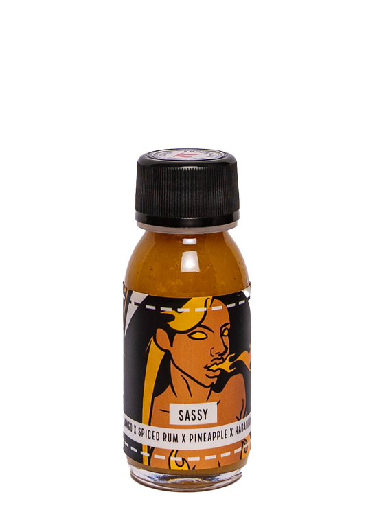 Sassy - Pocket-Size Mini Bullet