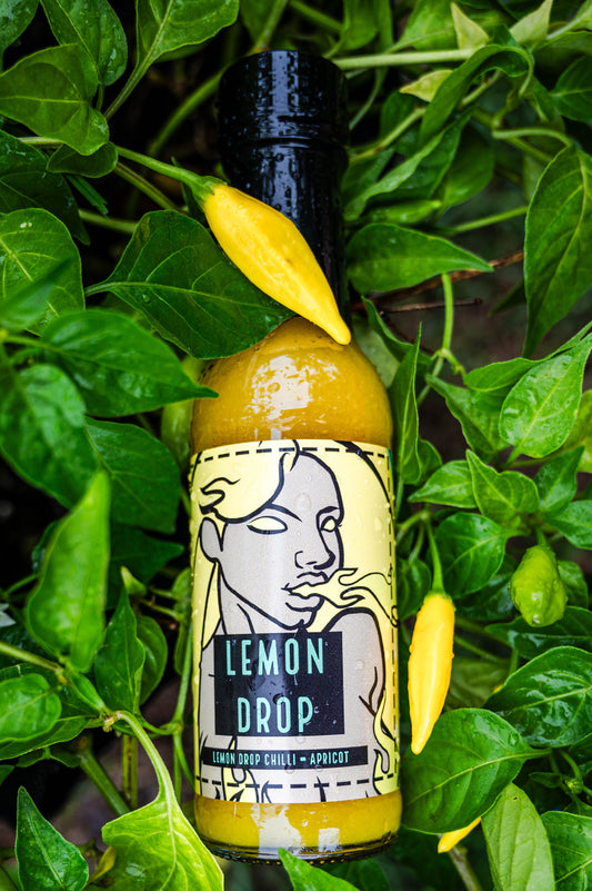 Lemon Drop *LIMITED EDITION*